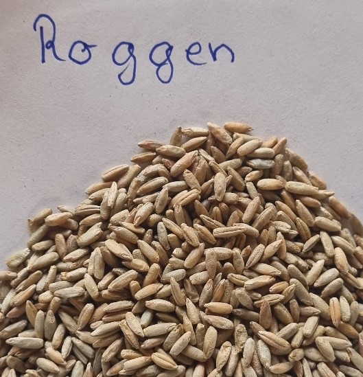 Roggen